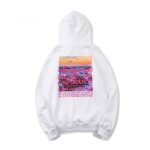 Stussy Hoodie White Sunny Day